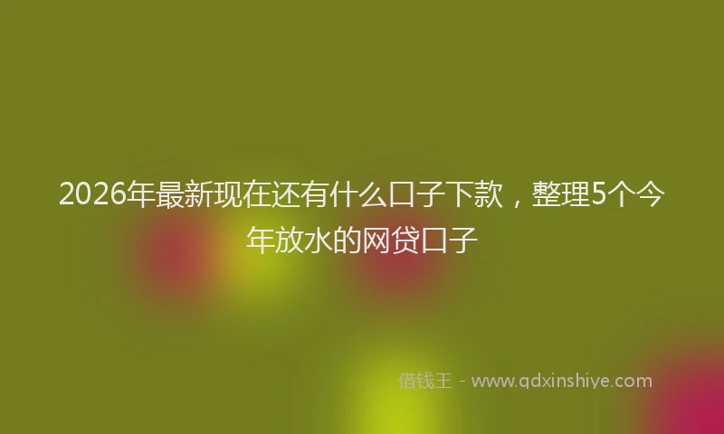2026年最新现在还有什么口子下款，整理5个今年放水的网贷口子