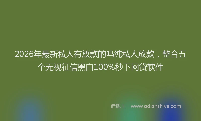 2026年最新私人有放款的吗纯私人放款，整合五个无视征信黑白100%秒下网贷软件