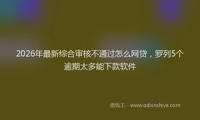 2026年最新综合审核不通过怎么网贷，罗列5个逾期太多能下款软件