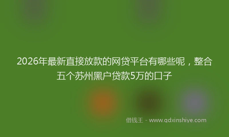 2026年最新直接放款的网贷平台有哪些呢，整合五个苏州黑户贷款5万的口子