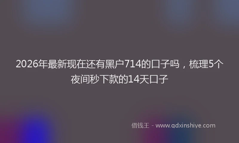 2026年最新现在还有黑户714的口子吗，梳理5个夜间秒下款的14天口子
