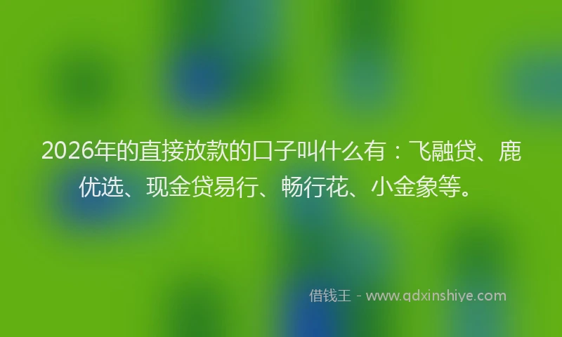 2026年的直接放款的口子叫什么有：飞融贷、鹿优选、现金贷易行、畅行花、小金象等。