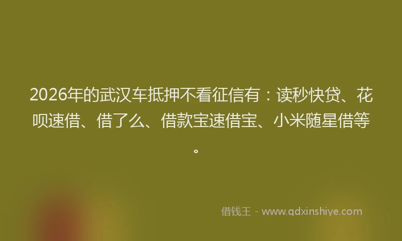 2026年的武汉车抵押不看征信有：读秒快贷、花呗速借、借了么、借款宝速借宝、小米随星借等。