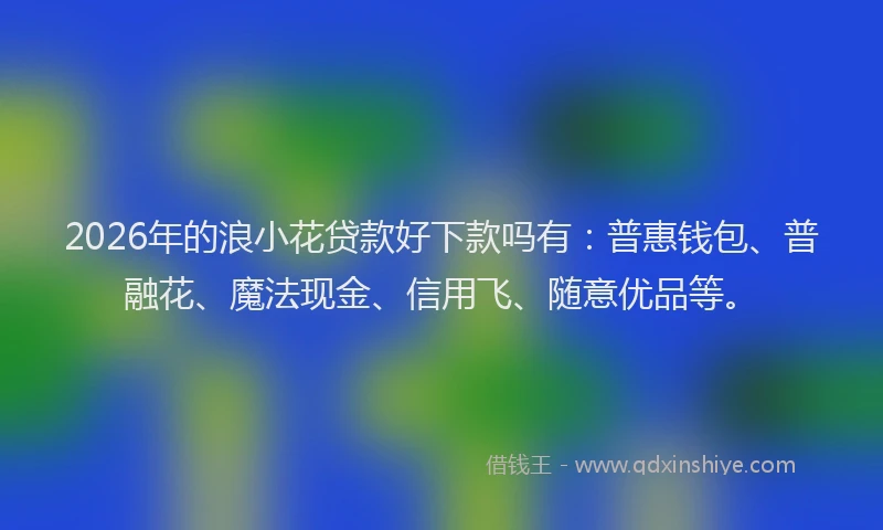 2026年的浪小花贷款好下款吗有：普惠钱包、普融花、魔法现金、信用飞、随意优品等。