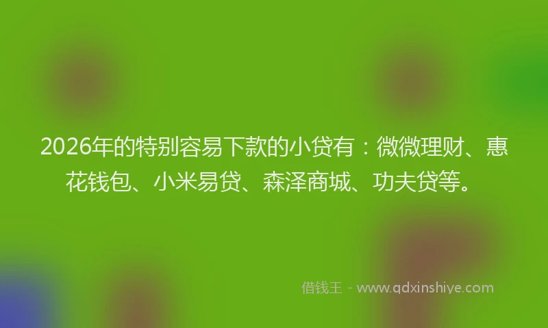2026年的特别容易下款的小贷有：微微理财、惠花钱包、小米易贷、森泽商城、功夫贷等。