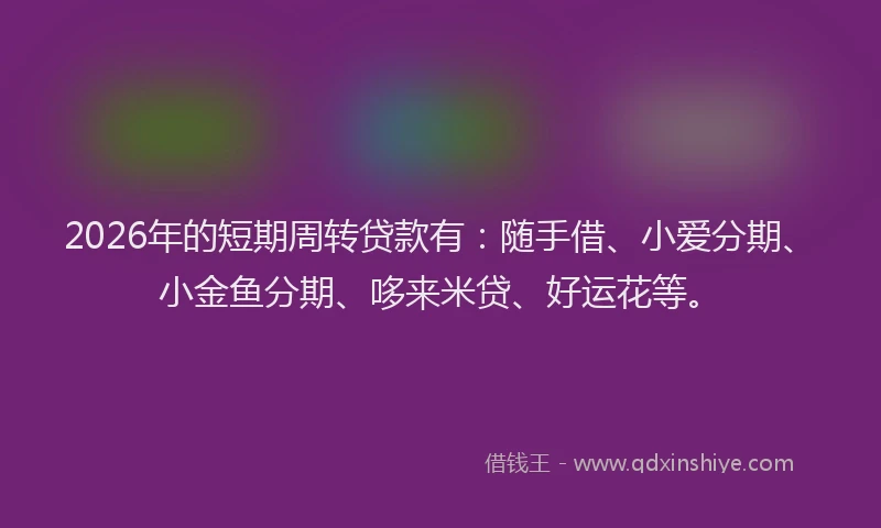 2026年的短期周转贷款有：随手借、小爱分期、小金鱼分期、哆来米贷、好运花等。