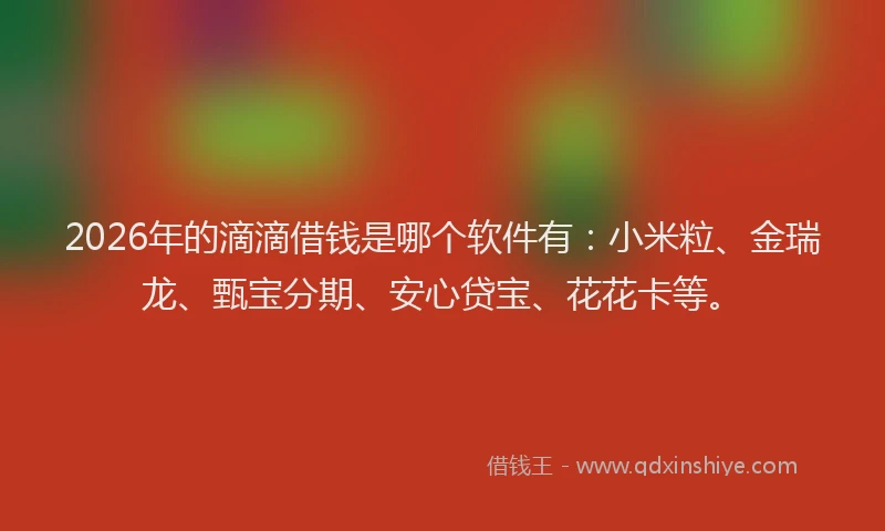 2026年的滴滴借钱是哪个软件有：小米粒、金瑞龙、甄宝分期、安心贷宝、花花卡等。