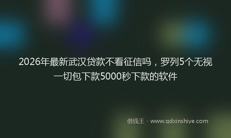 2026年最新武汉贷款不看征信吗，罗列5个无视一切包下款5000秒下款的软件