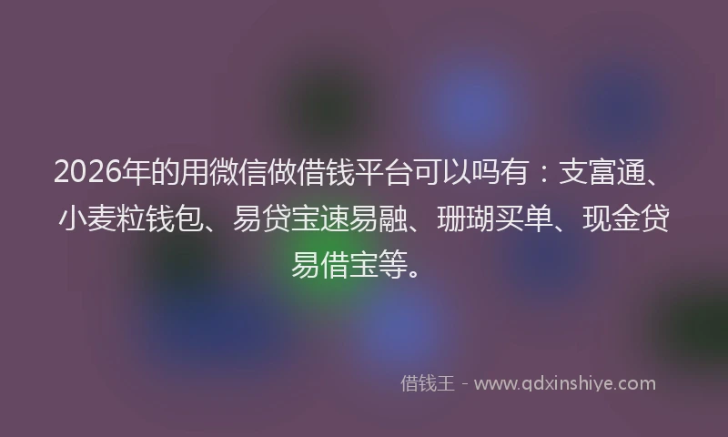 2026年的用微信做借钱平台可以吗有：支富通、小麦粒钱包、易贷宝速易融、珊瑚买单、现金贷易借宝等。