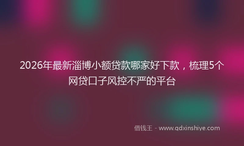 2026年最新淄博小额贷款哪家好下款，梳理5个网贷口子风控不严的平台