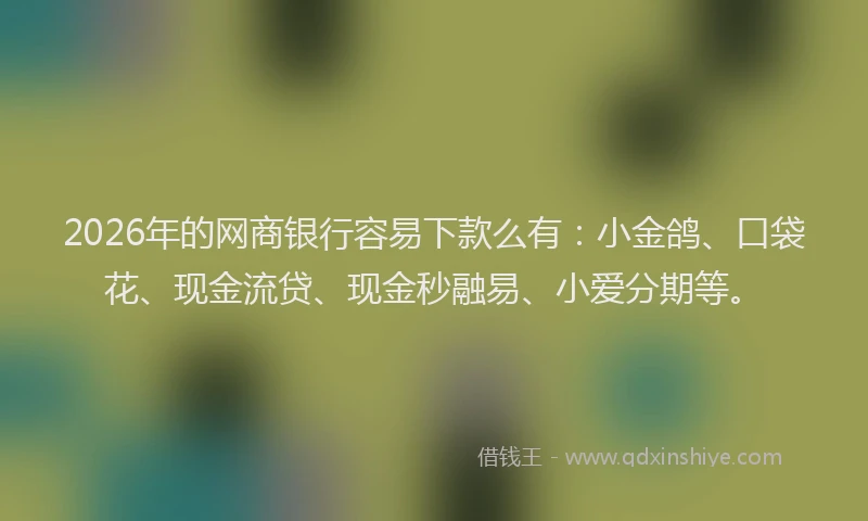2026年的网商银行容易下款么有：小金鸽、口袋花、现金流贷、现金秒融易、小爱分期等。