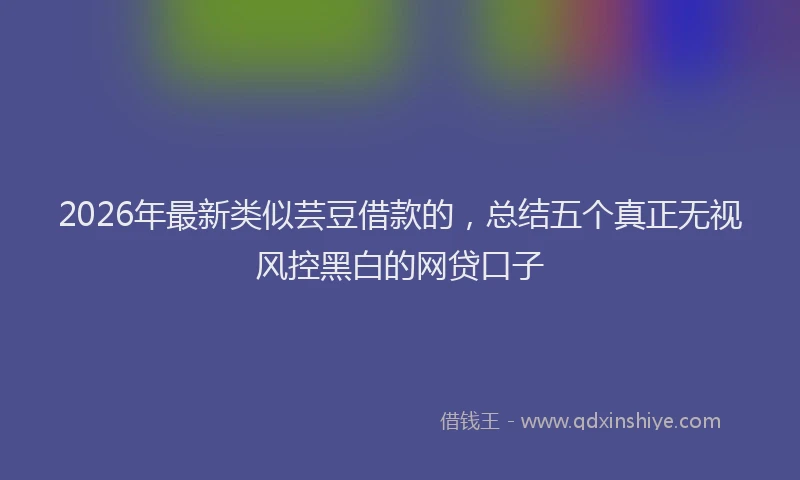 2026年最新类似芸豆借款的，总结五个真正无视风控黑白的网贷口子