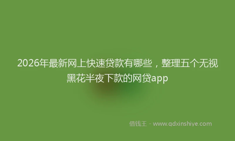 2026年最新网上快速贷款有哪些，整理五个无视黑花半夜下款的网贷app