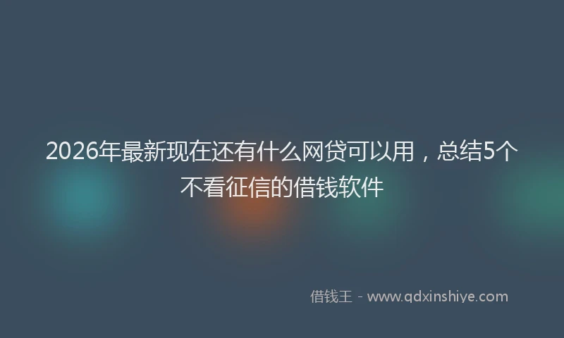 2026年最新现在还有什么网贷可以用，总结5个不看征信的借钱软件