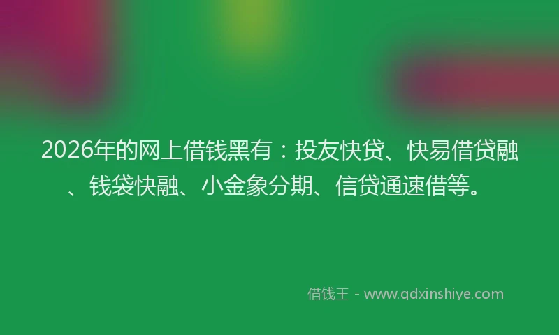 2026年的网上借钱黑有：投友快贷、快易借贷融、钱袋快融、小金象分期、信贷通速借等。