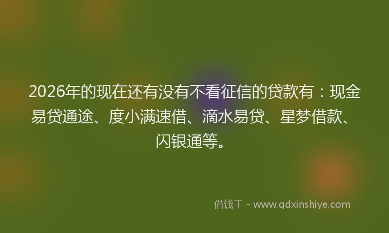 2026年的现在还有没有不看征信的贷款有：现金易贷通途、度小满速借、滴水易贷、星梦借款、闪银通等。