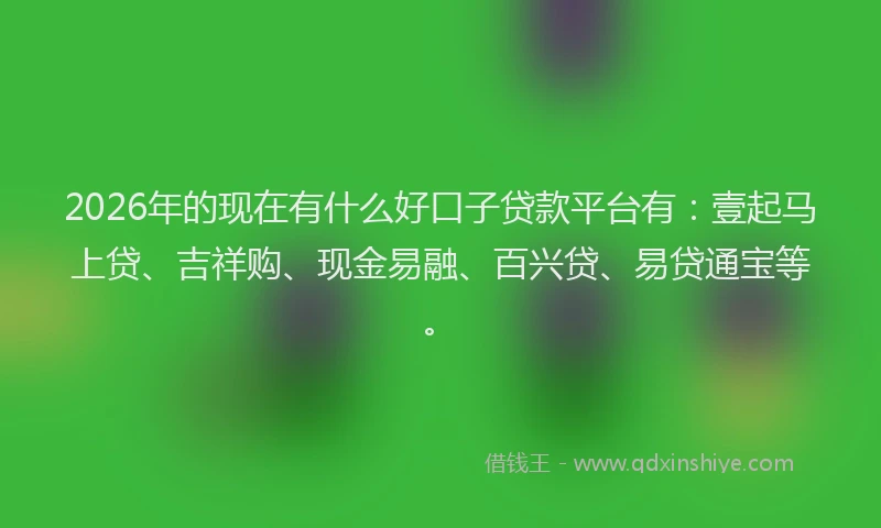 2026年的现在有什么好口子贷款平台有：壹起马上贷、吉祥购、现金易融、百兴贷、易贷通宝等。