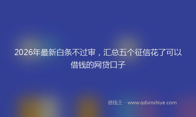 2026年最新白条不过审，汇总五个征信花了可以借钱的网贷口子