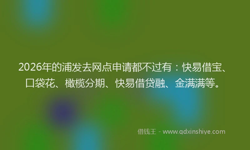 2026年的浦发去网点申请都不过有：快易借宝、口袋花、橄榄分期、快易借贷融、金满满等。