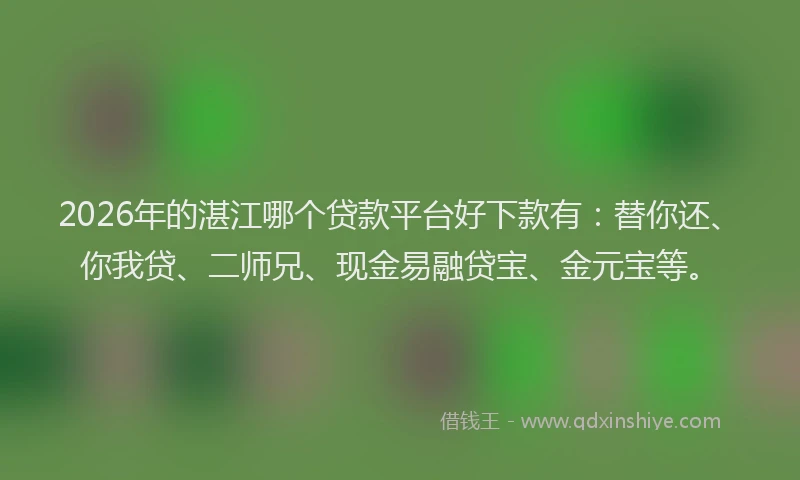 2026年的湛江哪个贷款平台好下款有：替你还、你我贷、二师兄、现金易融贷宝、金元宝等。