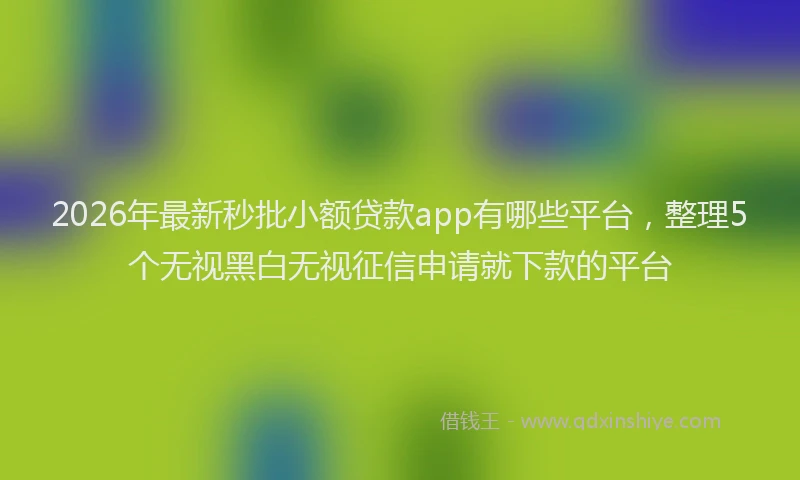 2026年最新秒批小额贷款app有哪些平台，整理5个无视黑白无视征信申请就下款的平台