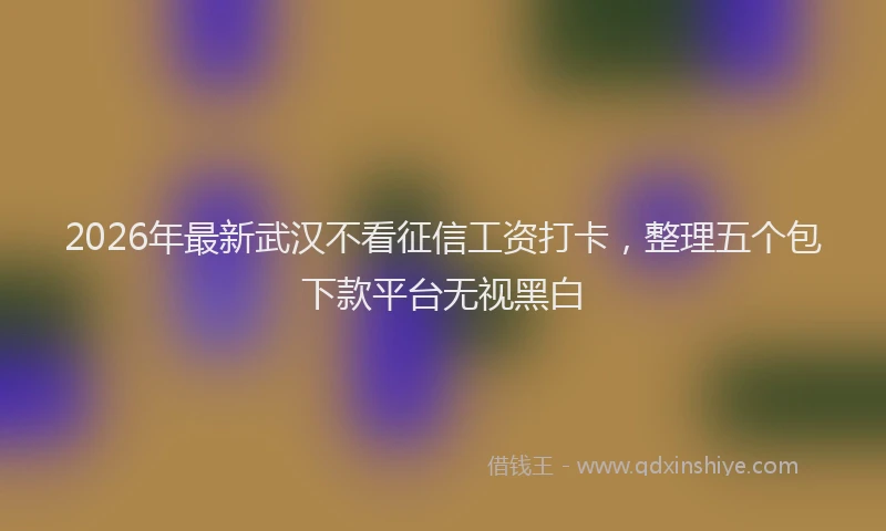 2026年最新武汉不看征信工资打卡，整理五个包下款平台无视黑白