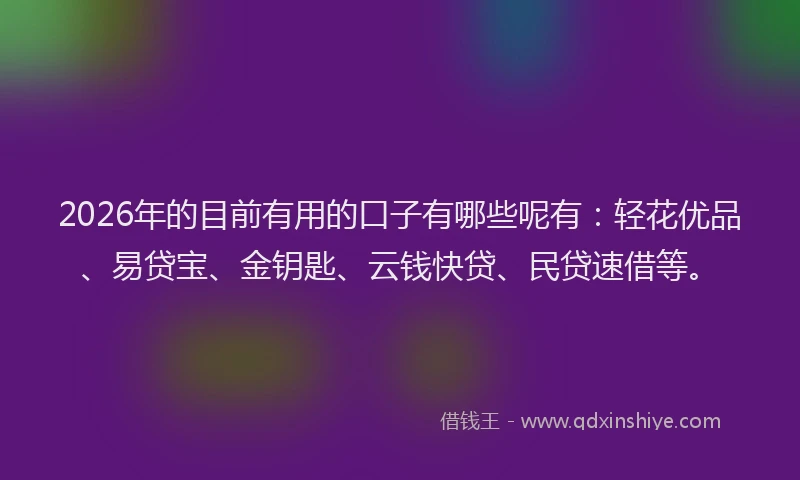 2026年的目前有用的口子有哪些呢有：轻花优品、易贷宝、金钥匙、云钱快贷、民贷速借等。