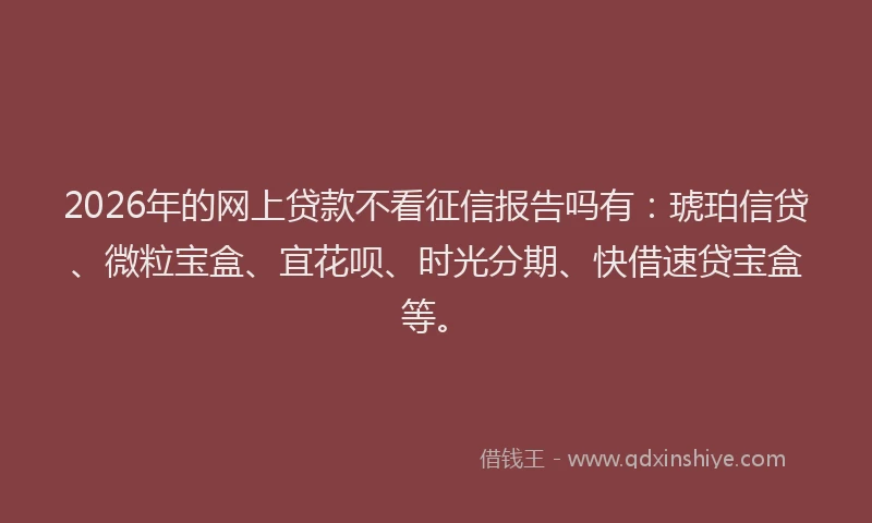 2026年的网上贷款不看征信报告吗有：琥珀信贷、微粒宝盒、宜花呗、时光分期、快借速贷宝盒等。