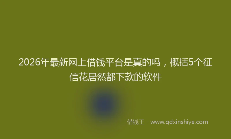 2026年最新网上借钱平台是真的吗，概括5个征信花居然都下款的软件