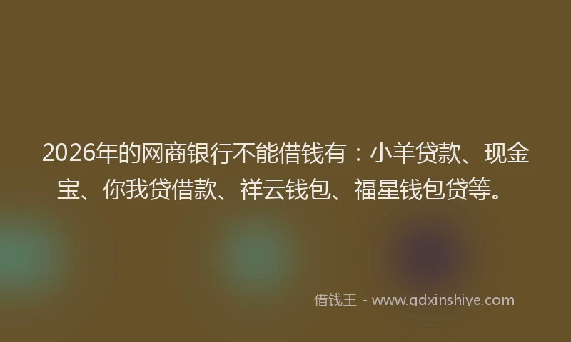 2026年的网商银行不能借钱有：小羊贷款、现金宝、你我贷借款、祥云钱包、福星钱包贷等。