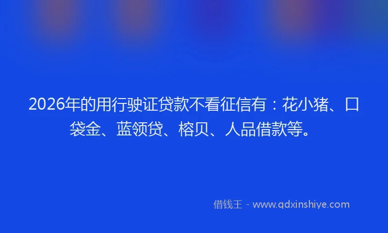 2026年的用行驶证贷款不看征信有：花小猪、口袋金、蓝领贷、榕贝、人品借款等。