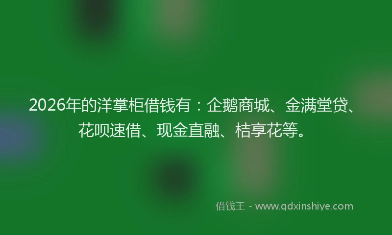 2026年的洋掌柜借钱有：企鹅商城、金满堂贷、花呗速借、现金直融、桔享花等。