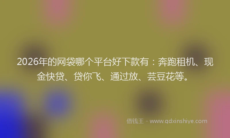2026年的网袋哪个平台好下款有：奔跑租机、现金快贷、贷你飞、通过放、芸豆花等。