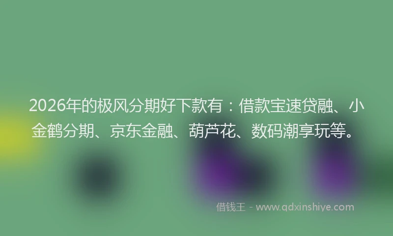 2026年的极风分期好下款有：借款宝速贷融、小金鹤分期、京东金融、葫芦花、数码潮享玩等。