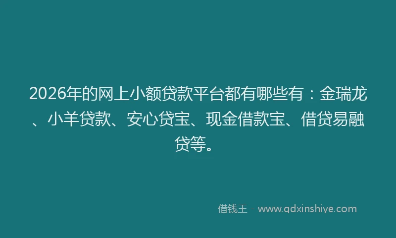2026年的网上小额贷款平台都有哪些有：金瑞龙、小羊贷款、安心贷宝、现金借款宝、借贷易融贷等。