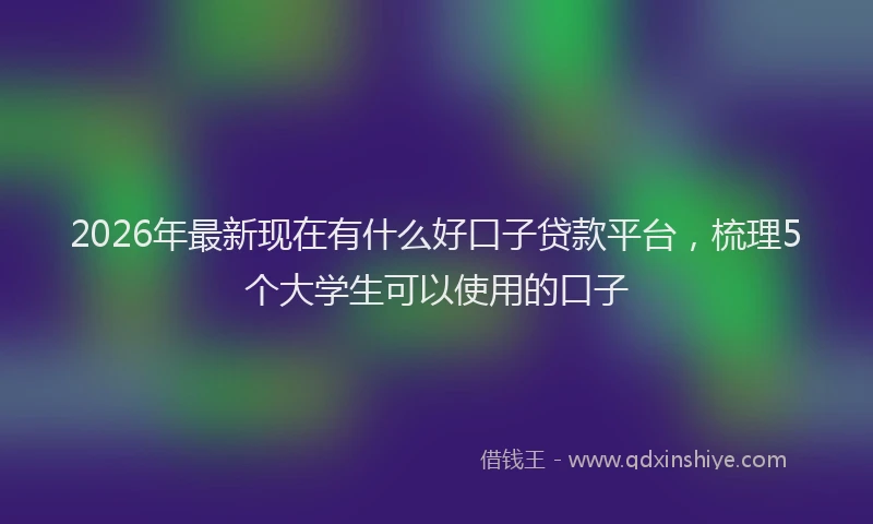 2026年最新现在有什么好口子贷款平台，梳理5个大学生可以使用的口子