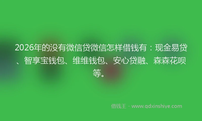 2026年的没有微信贷微信怎样借钱有：现金易贷、智享宝钱包、维维钱包、安心贷融、森森花呗等。