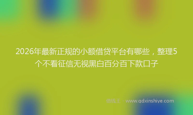 2026年最新正规的小额借贷平台有哪些，整理5个不看征信无视黑白百分百下款口子