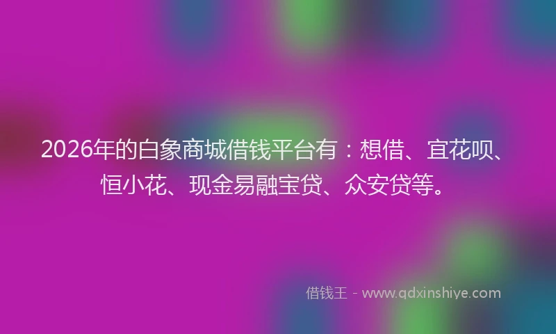 2026年的白象商城借钱平台有：想借、宜花呗、恒小花、现金易融宝贷、众安贷等。