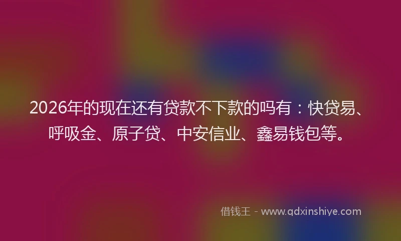 2026年的现在还有贷款不下款的吗有：快贷易、呼吸金、原子贷、中安信业、鑫易钱包等。