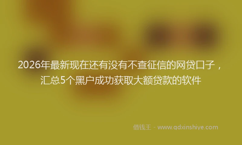 2026年最新现在还有没有不查征信的网贷口子，汇总5个黑户成功获取大额贷款的软件