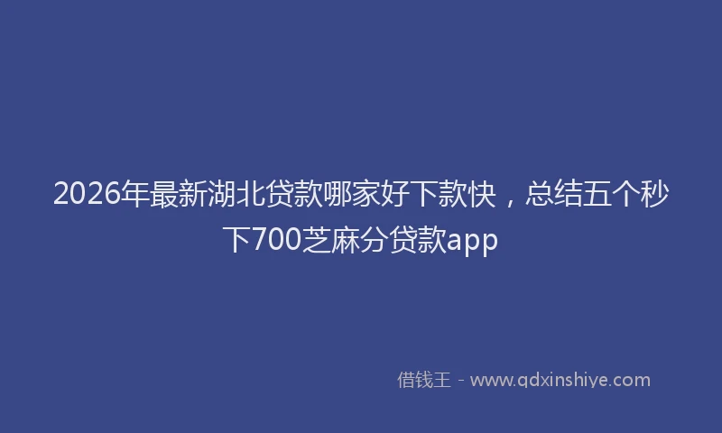 2026年最新湖北贷款哪家好下款快，总结五个秒下700芝麻分贷款app