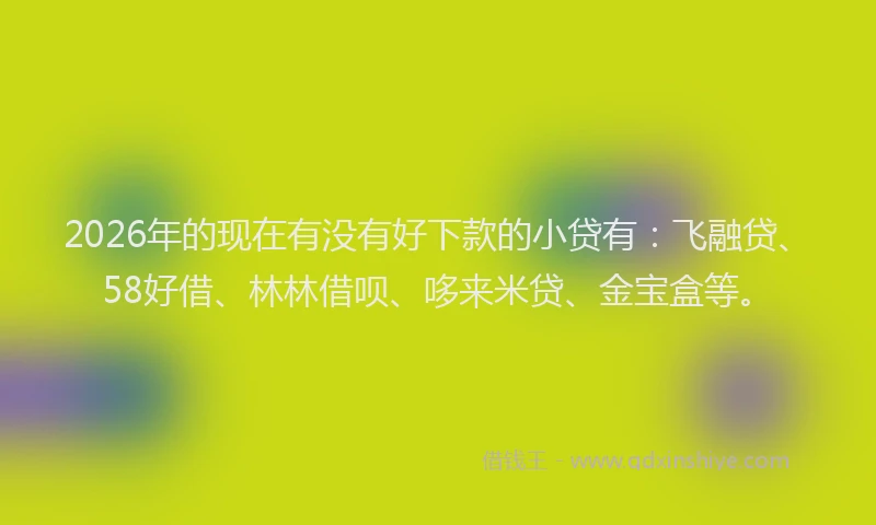 2026年的现在有没有好下款的小贷有：飞融贷、58好借、林林借呗、哆来米贷、金宝盒等。