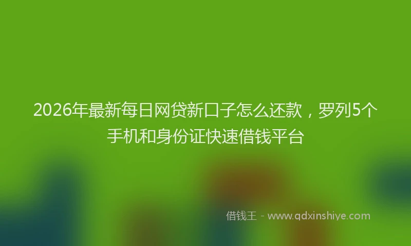 2026年最新每日网贷新口子怎么还款，罗列5个手机和身份证快速借钱平台