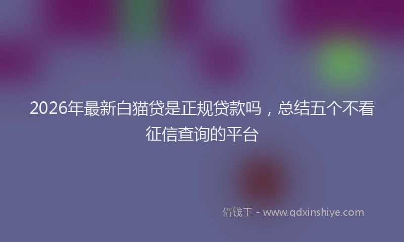 2026年最新白猫贷是正规贷款吗，总结五个不看征信查询的平台