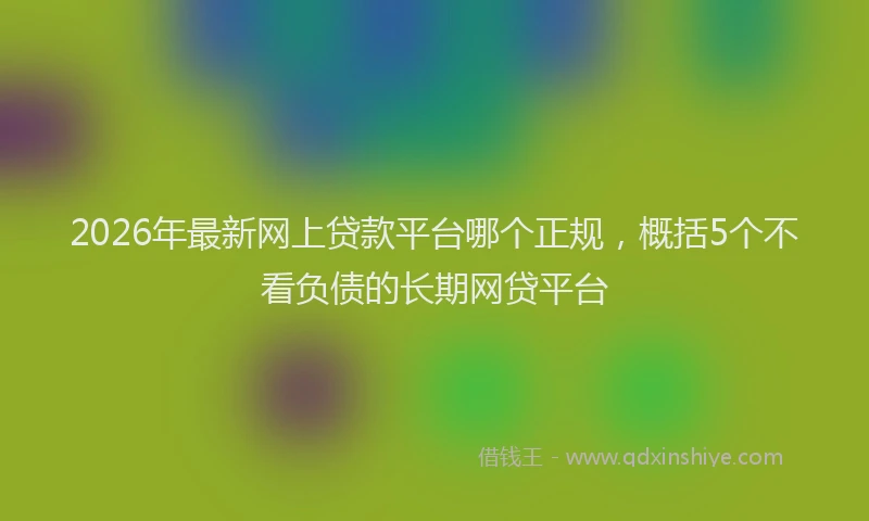 2026年最新网上贷款平台哪个正规，概括5个不看负债的长期网贷平台