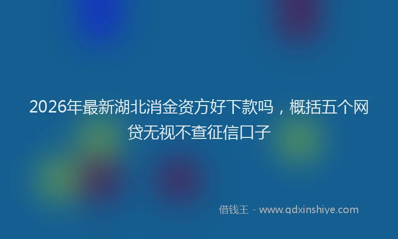 2026年最新湖北消金资方好下款吗，概括五个网贷无视不查征信口子