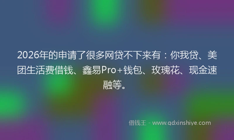 2026年的申请了很多网贷不下来有：你我贷、美团生活费借钱、鑫易Pro+钱包、玫瑰花、现金速融等。