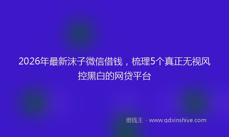2026年最新沫子微信借钱，梳理5个真正无视风控黑白的网贷平台
