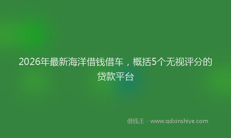2026年最新海洋借钱借车，概括5个无视评分的贷款平台